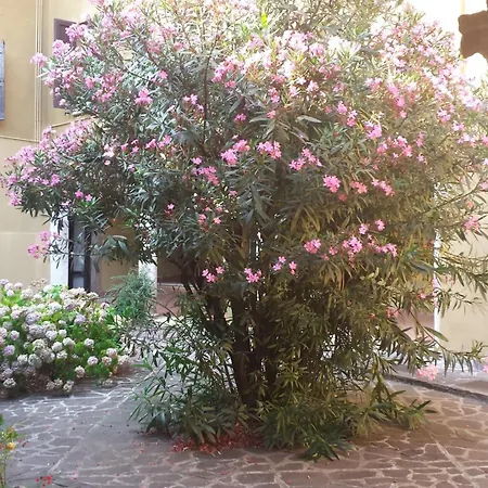 Casa Sol דירה